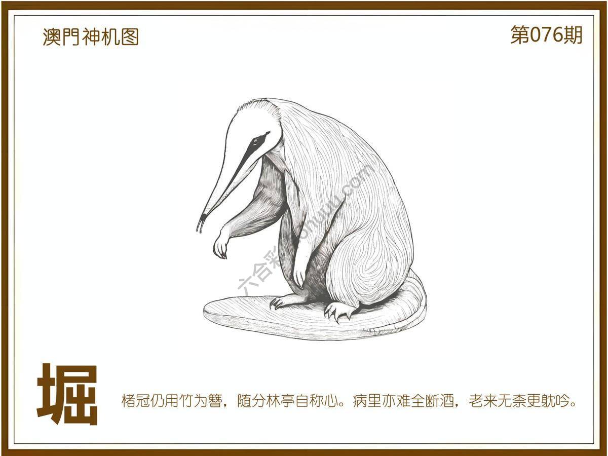 澳门神机图