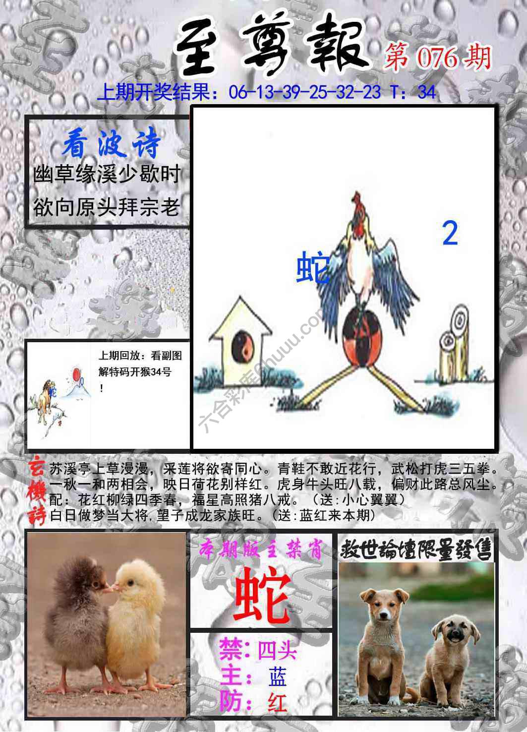 至尊报