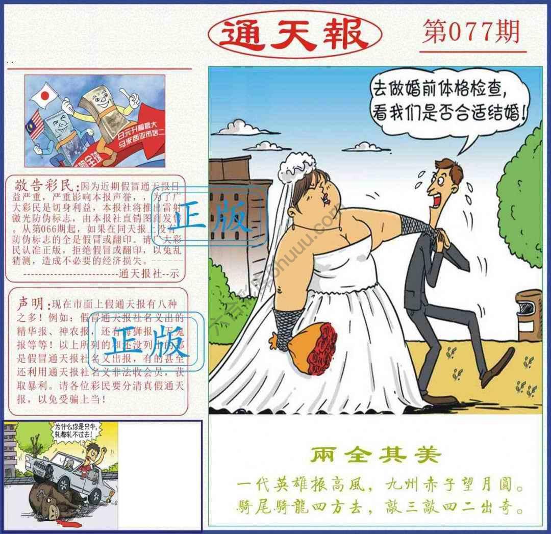 正版通天报