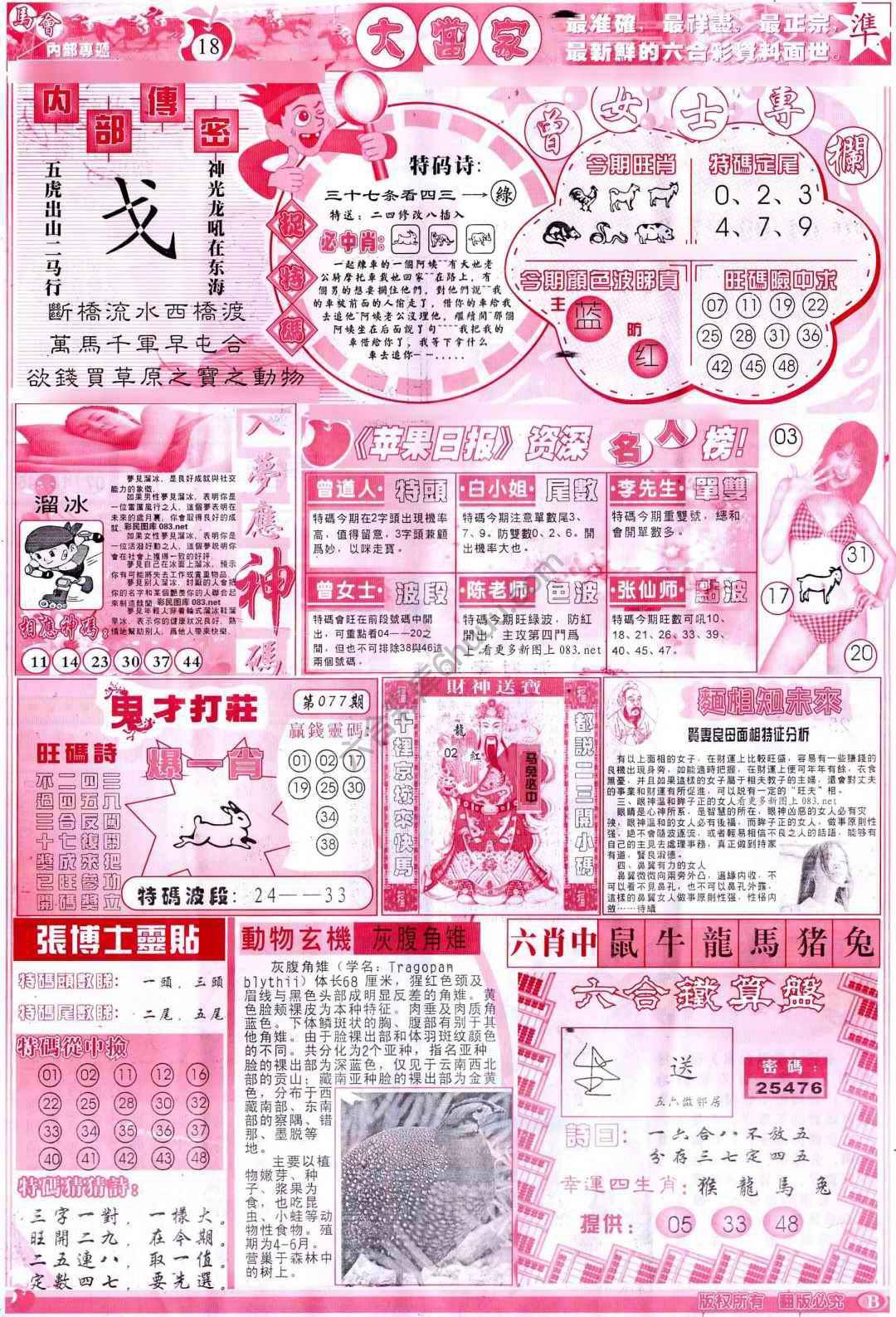 大当家