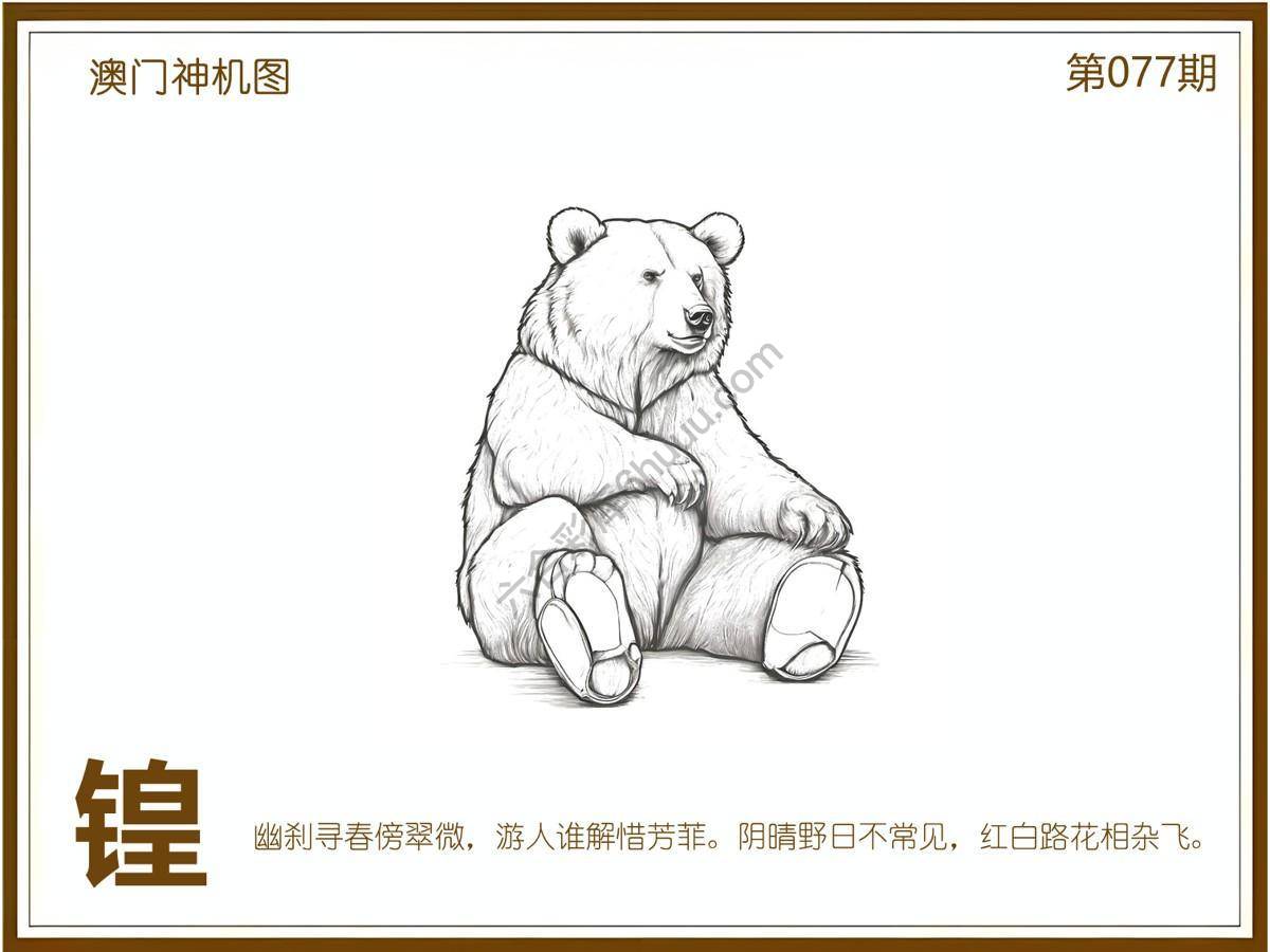 澳门神机图