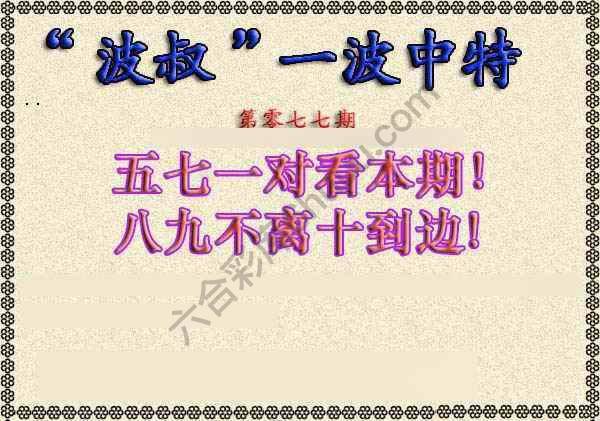 波叔一波中特
