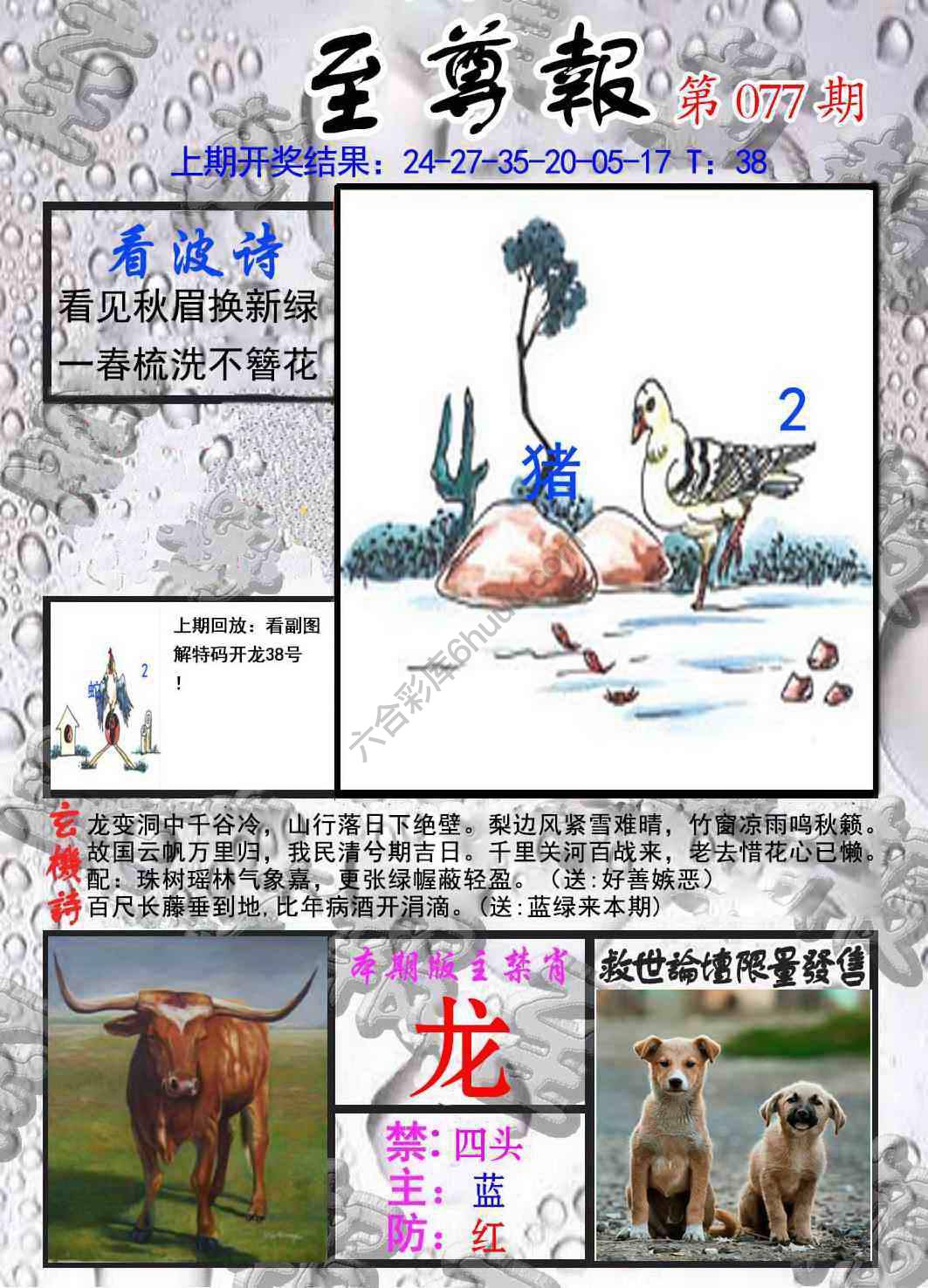 至尊报