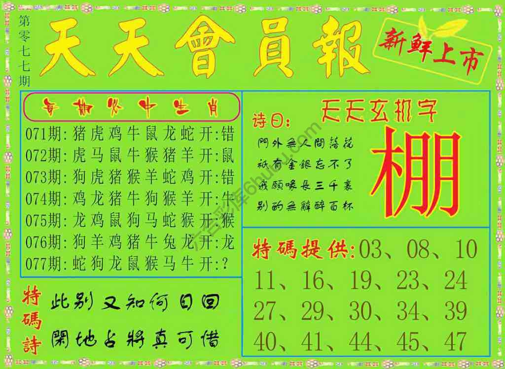 天天会员报