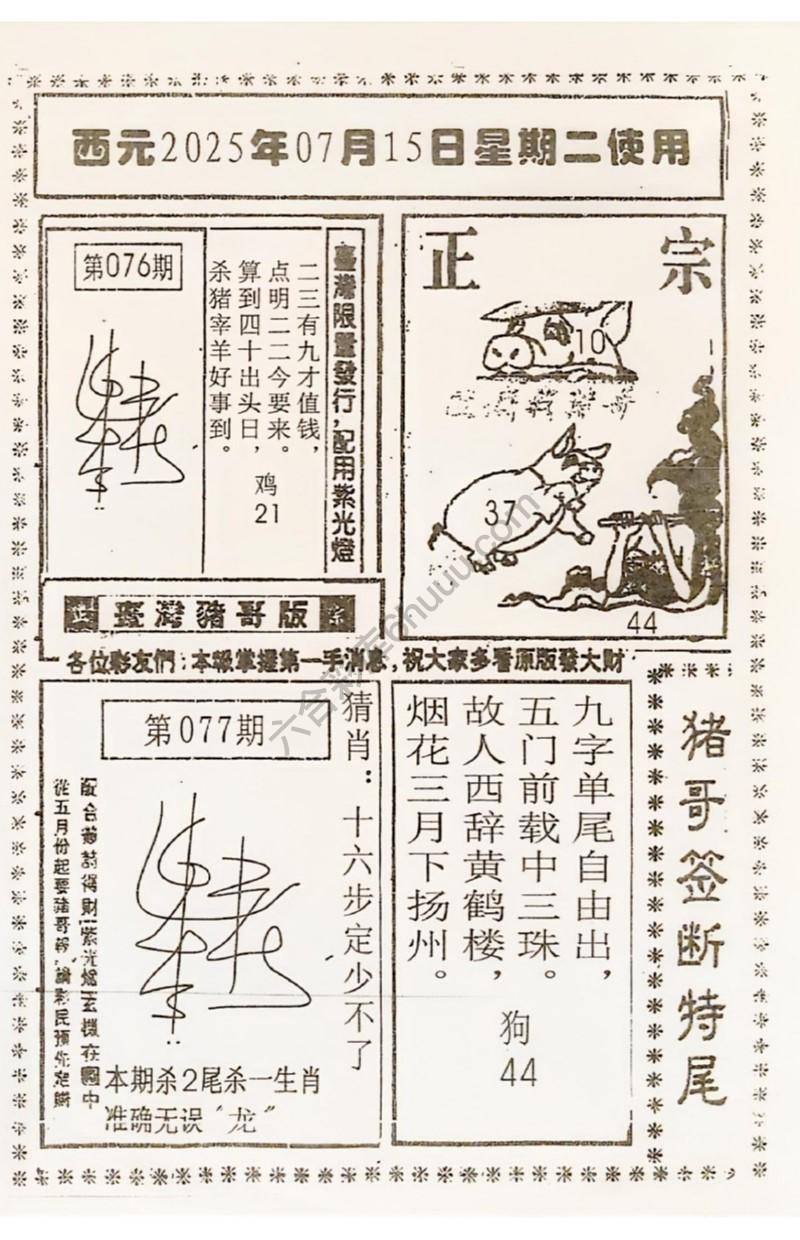 猪哥签断特尾