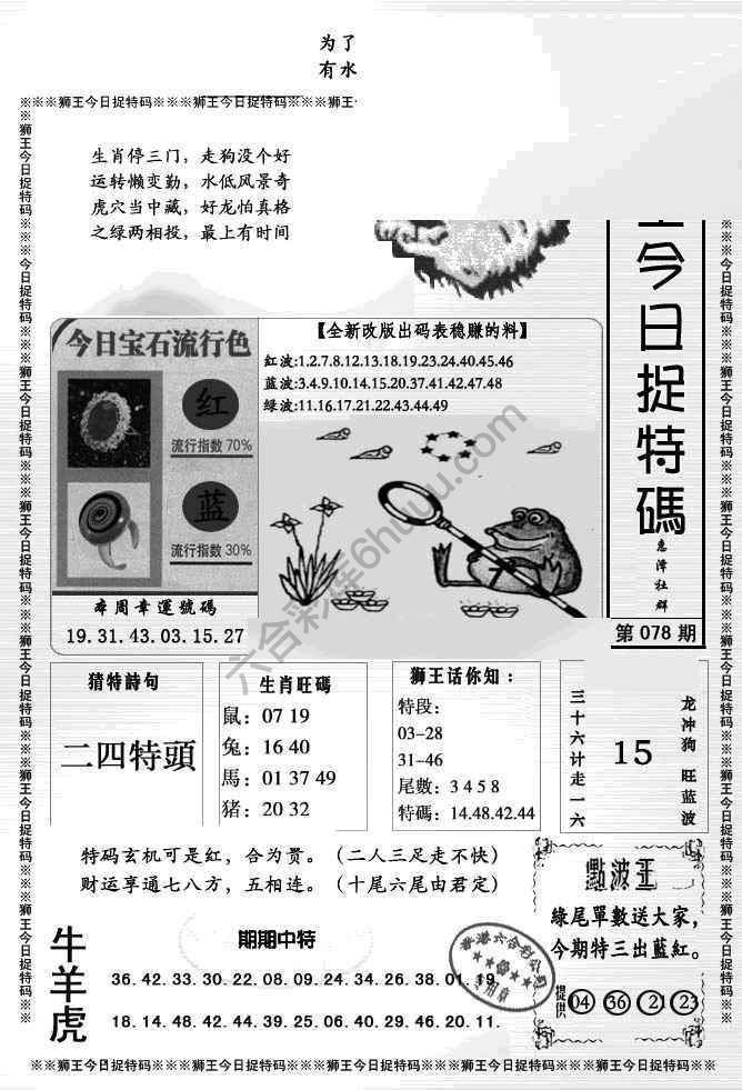 狮王今日抓特码