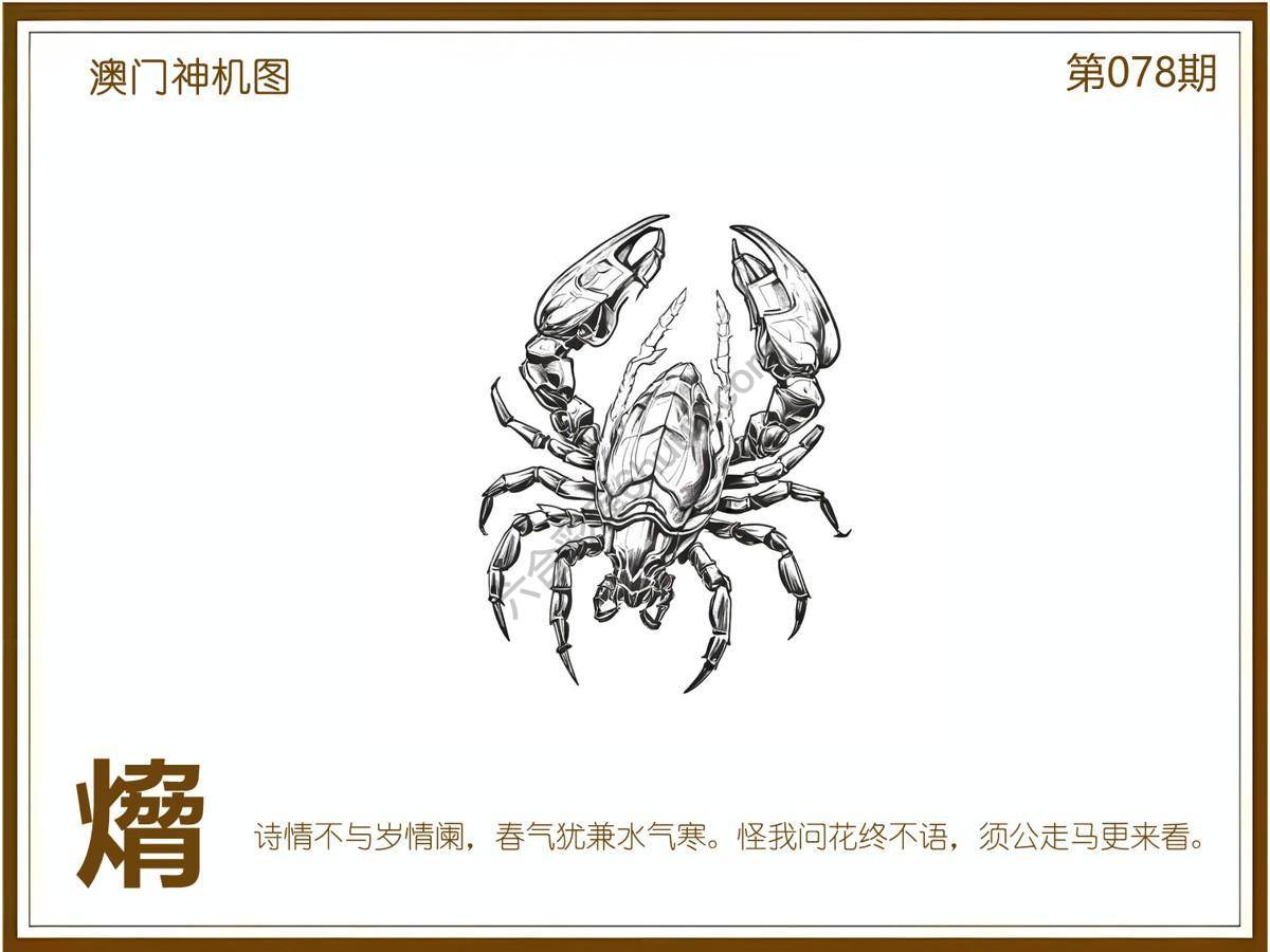 澳门神机图