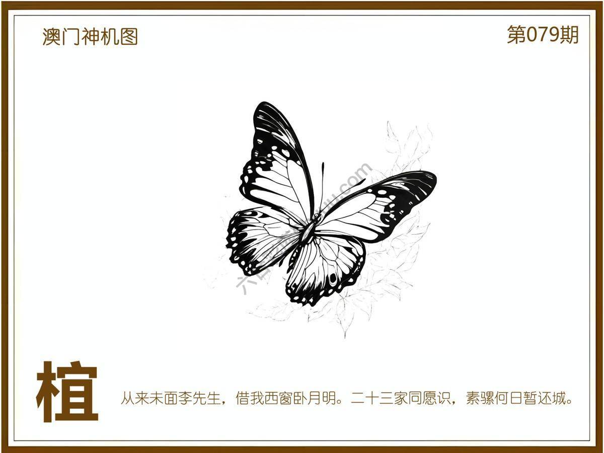 澳门神机图