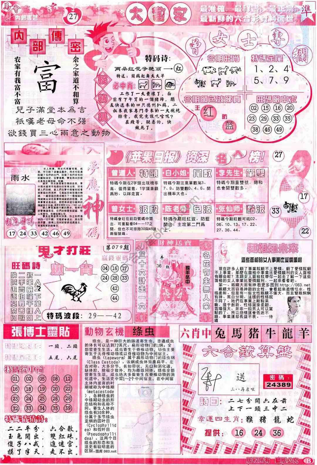 大当家
