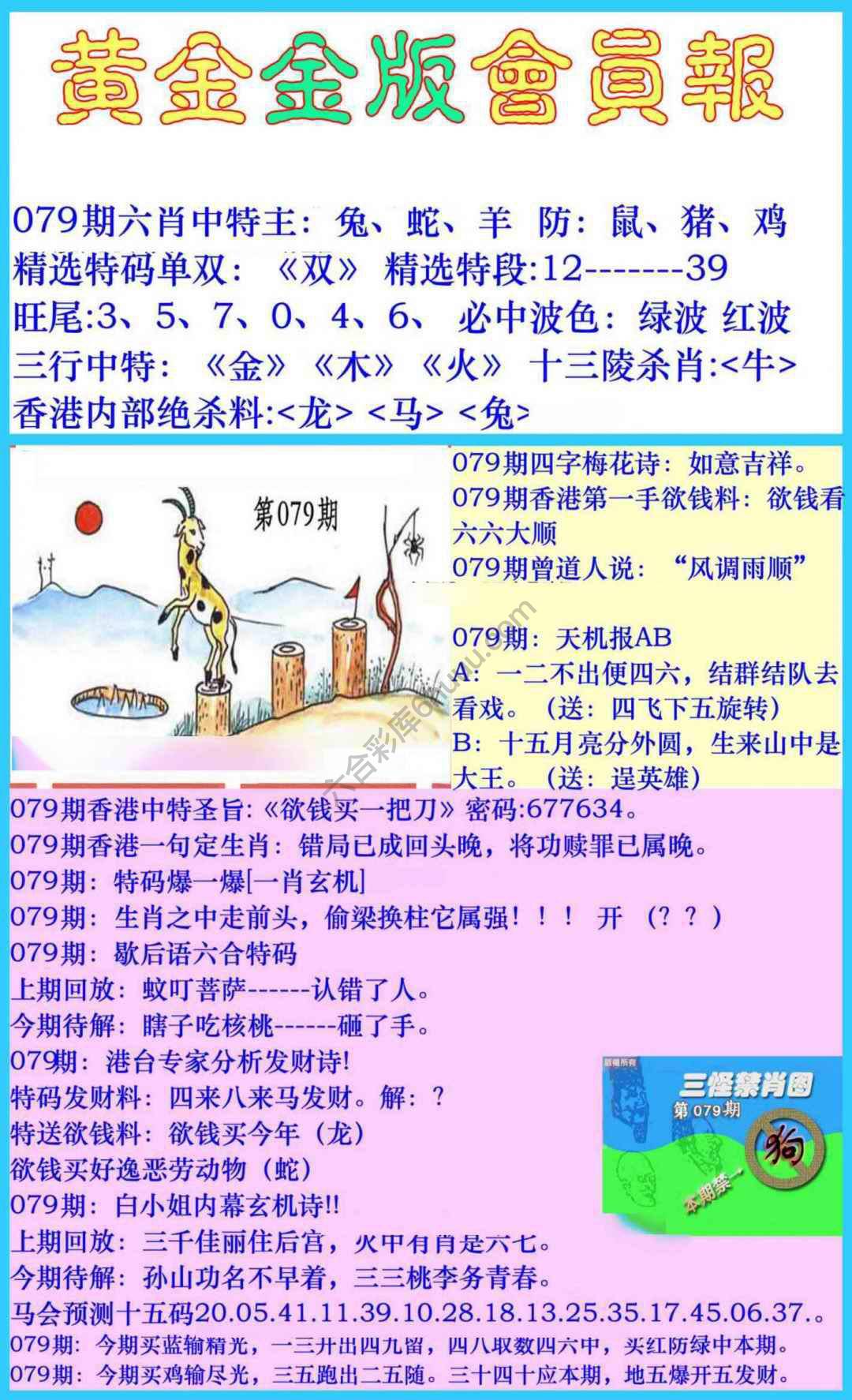 黄金金版会员报