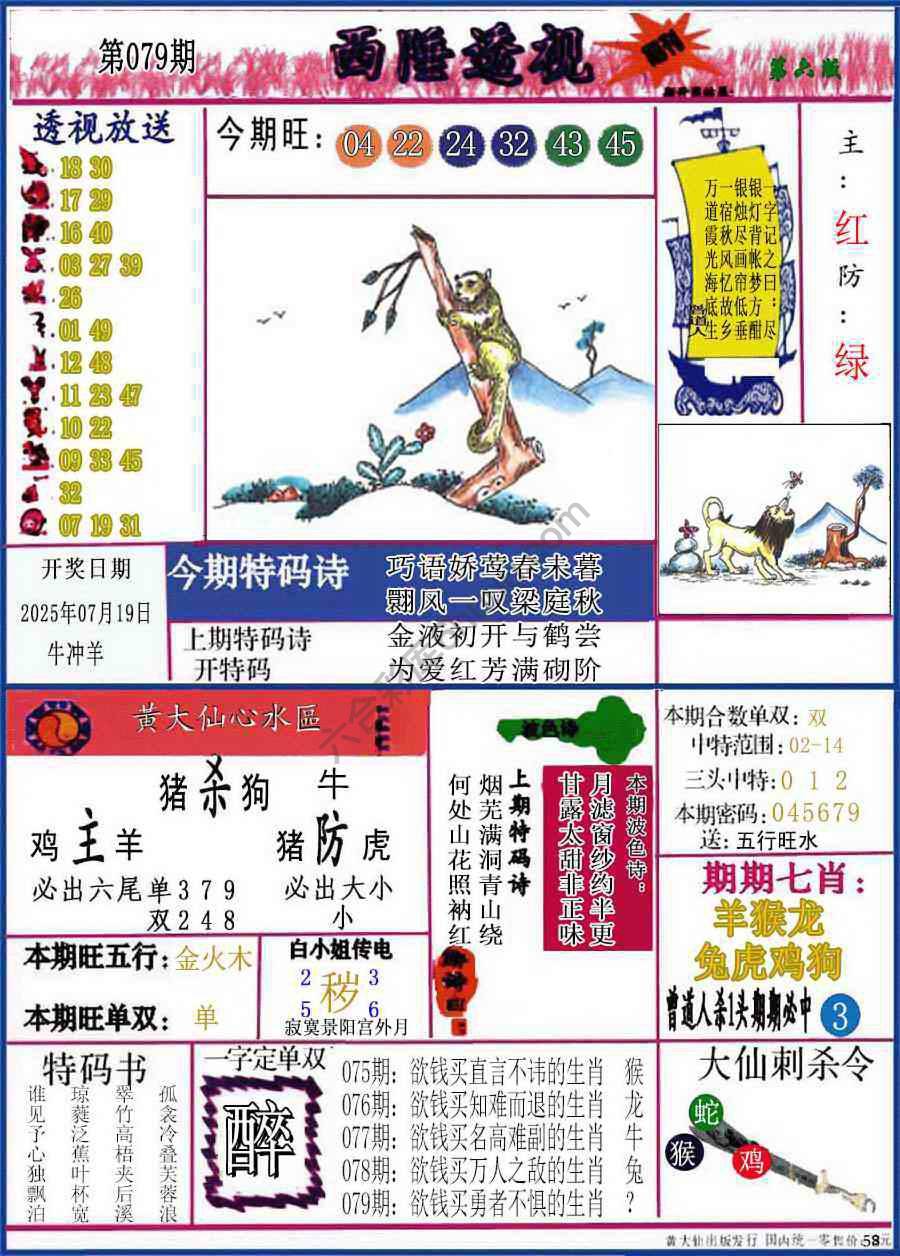 西陲透视（正版）