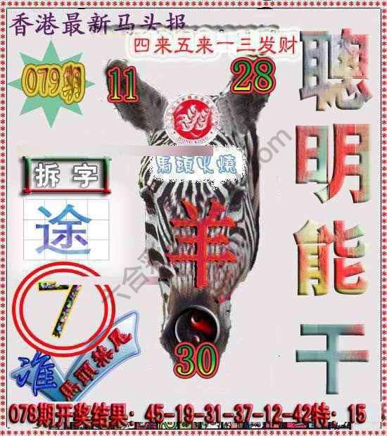 香港马头报