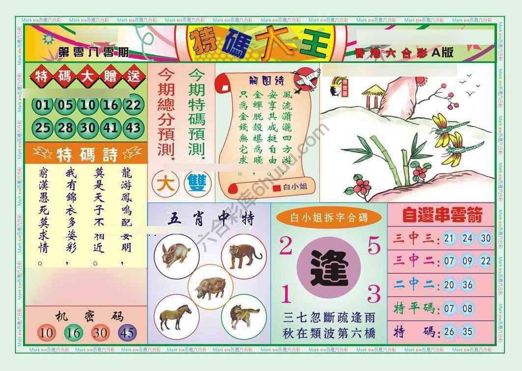 特码大王