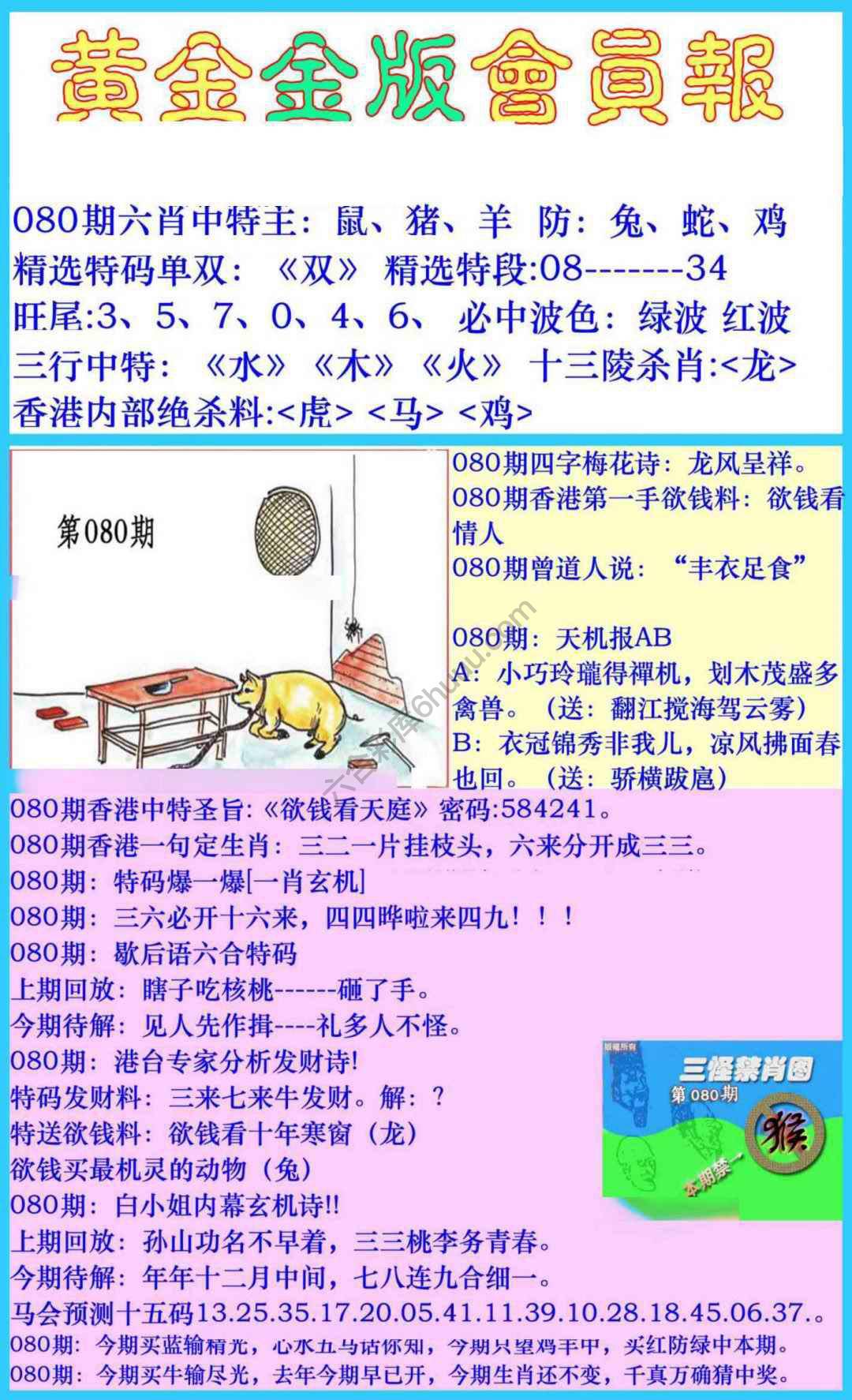 黄金金版会员报