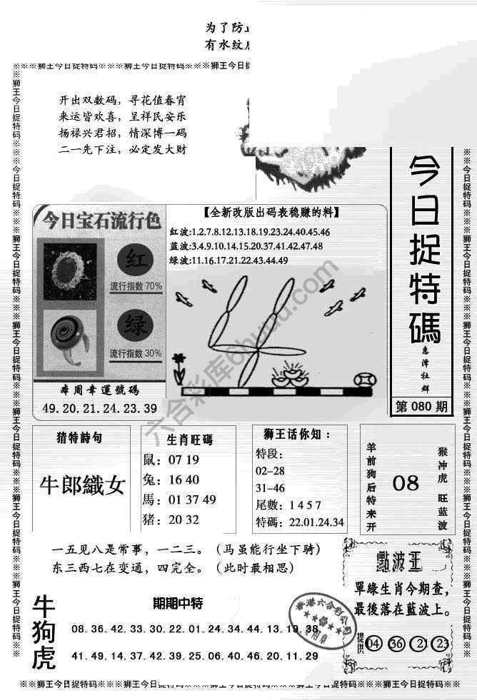 狮王今日抓特码