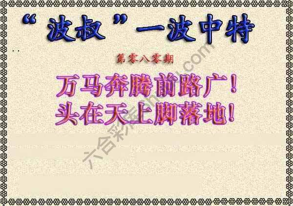 波叔一波中特
