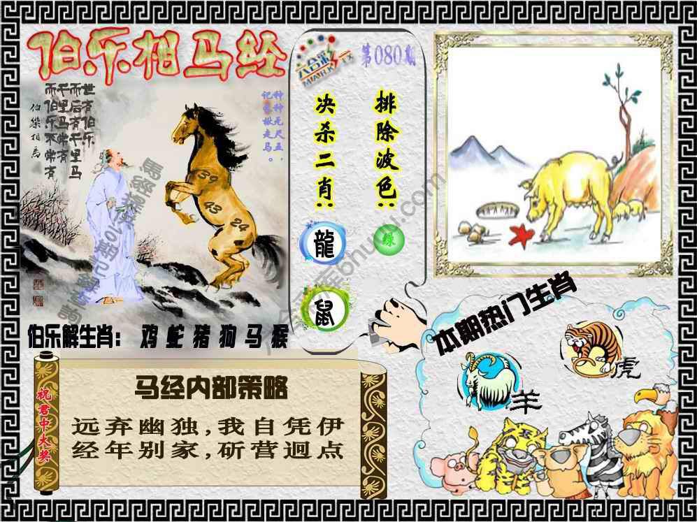 伯乐相马经