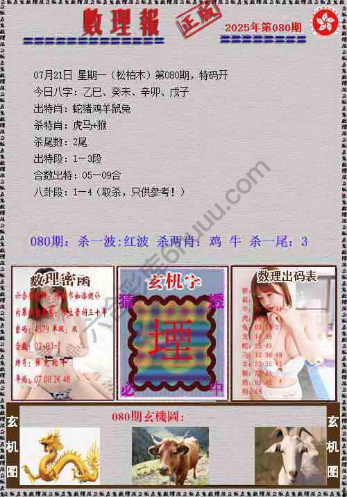 数理报