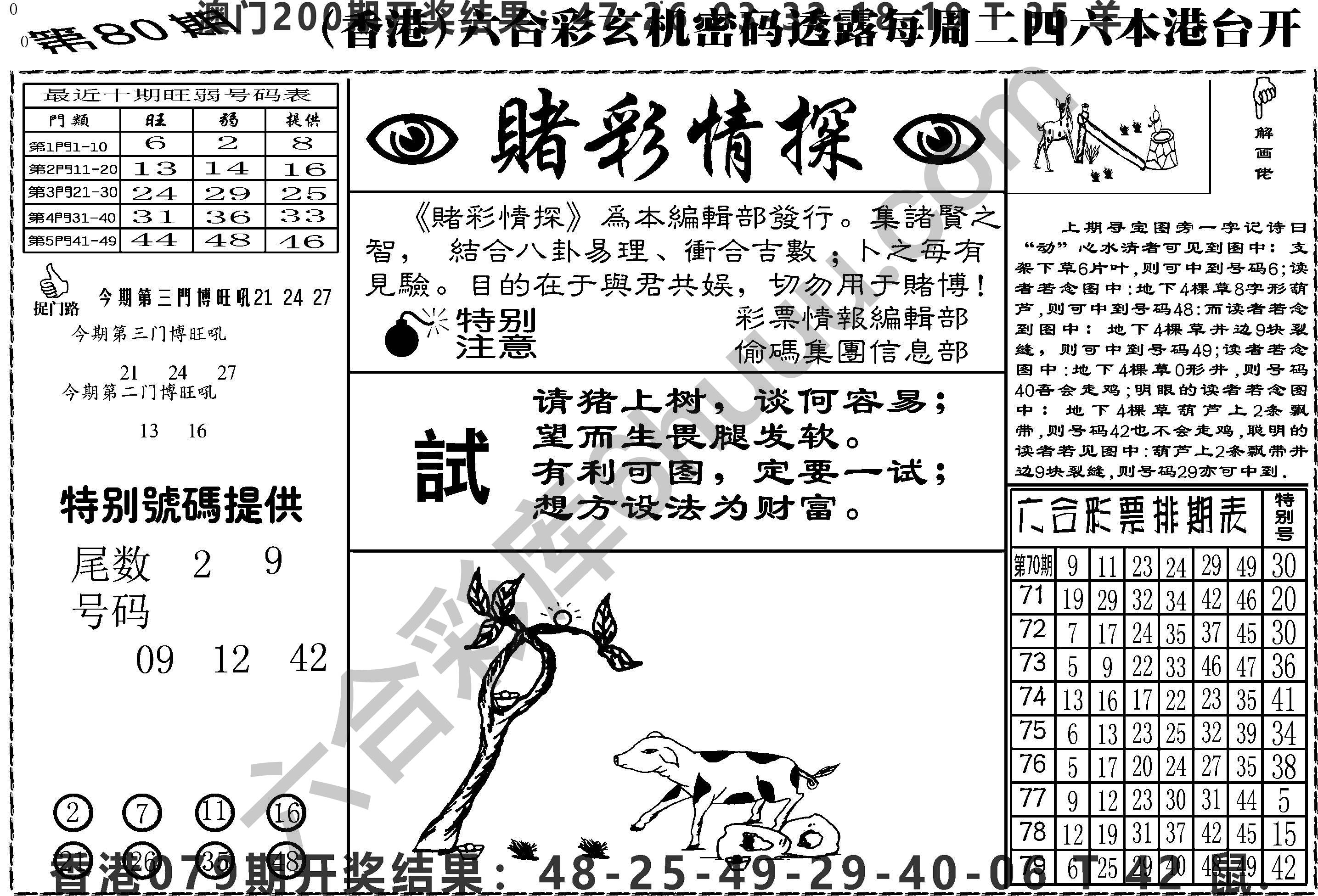 赌彩情探