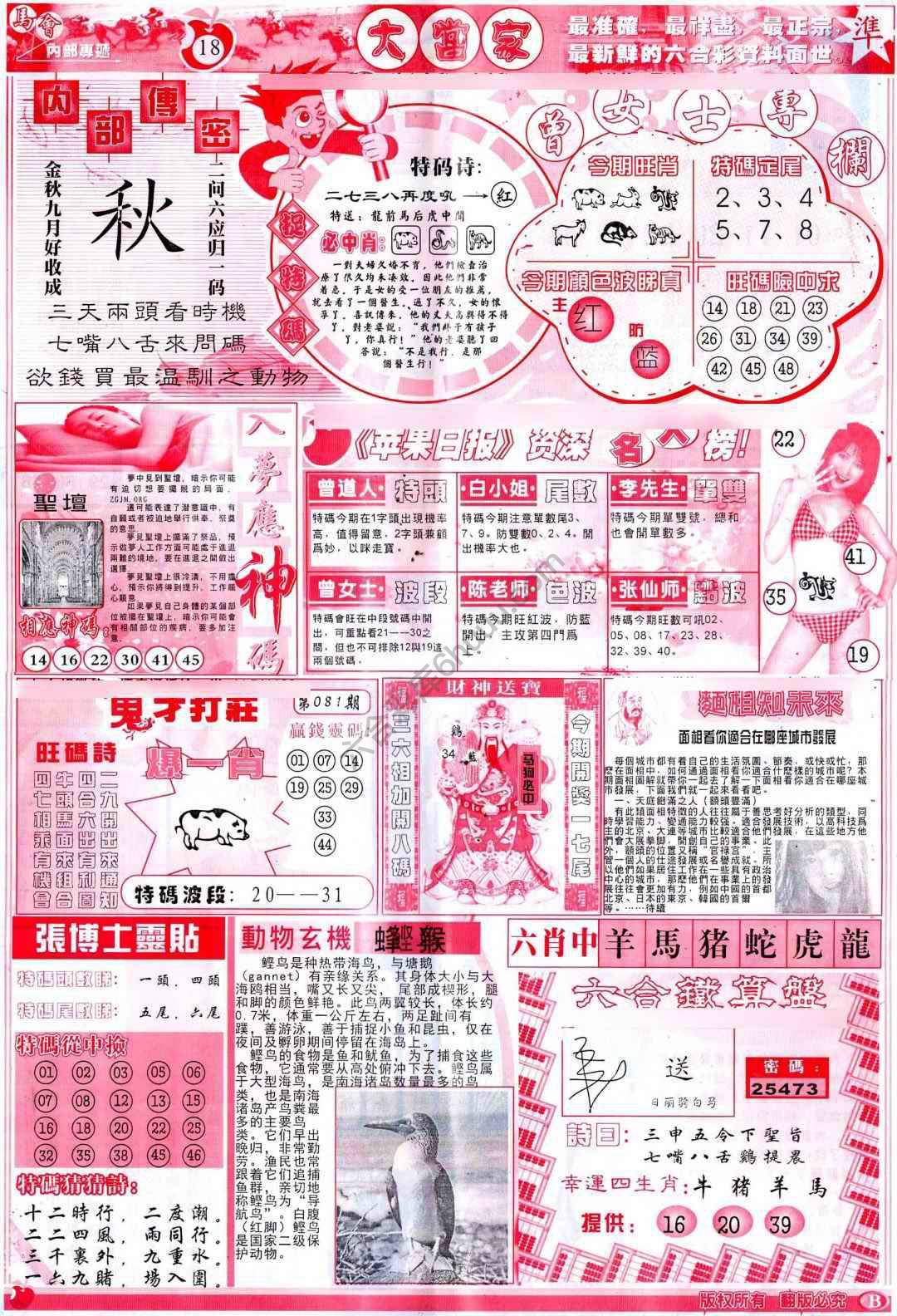 大当家