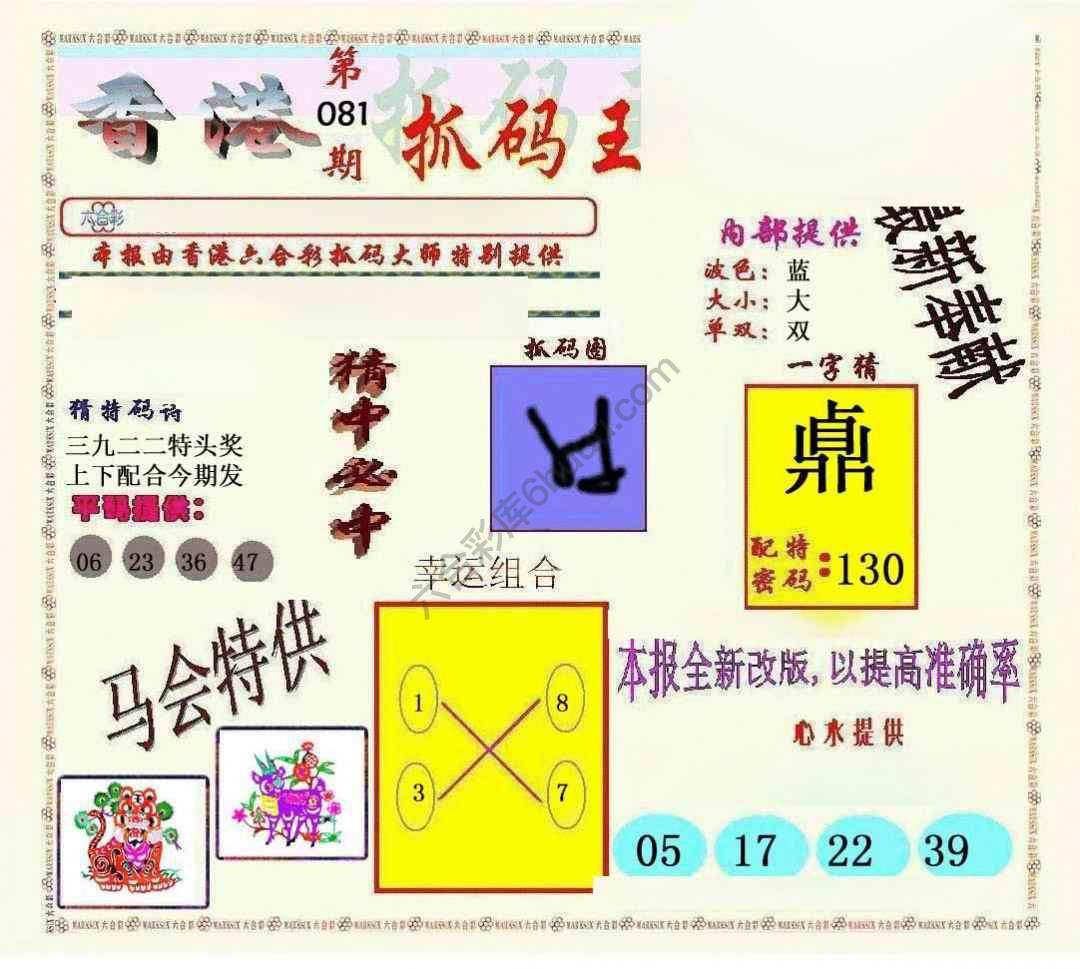 新抓码王