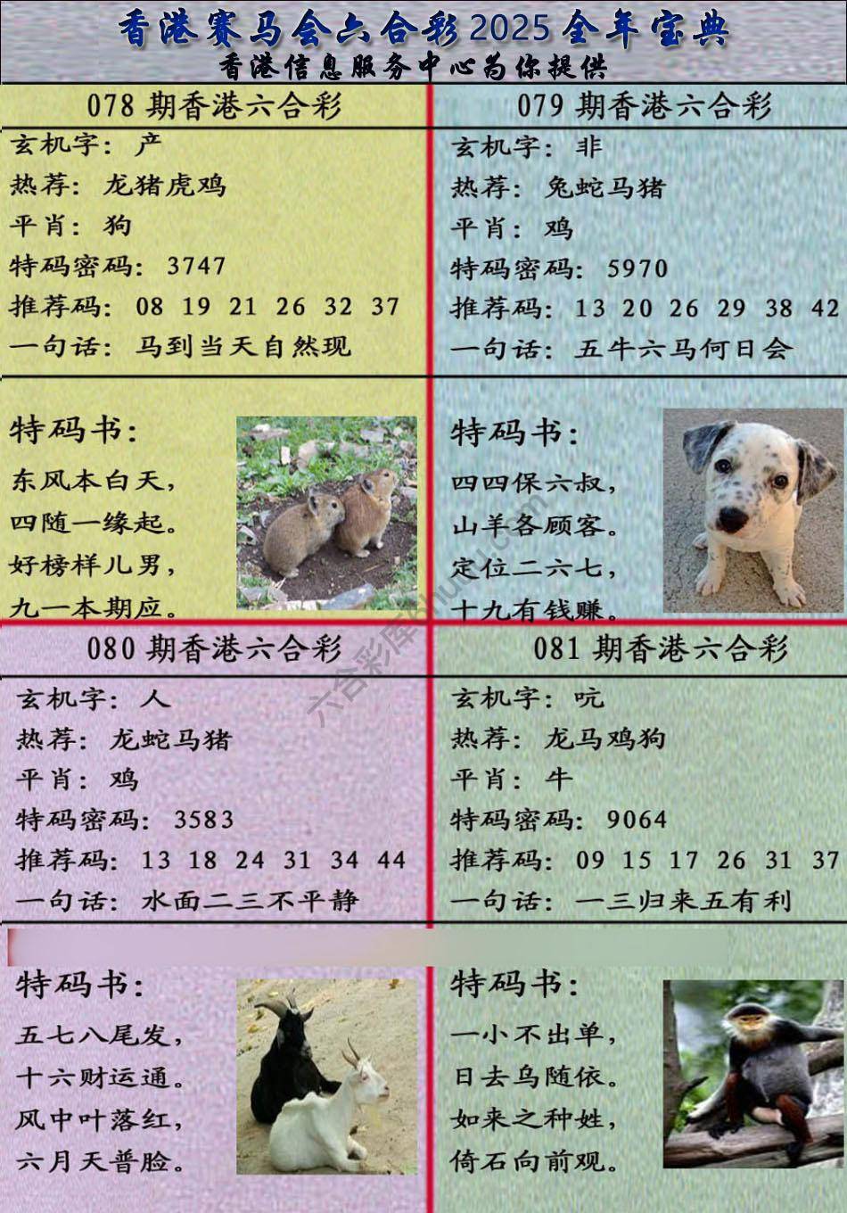 宝典报