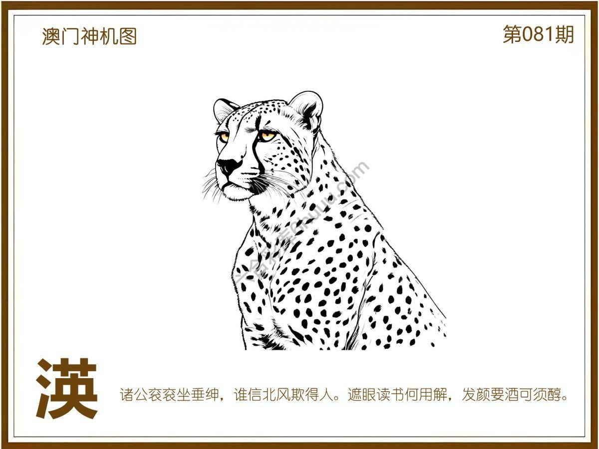 澳门神机图