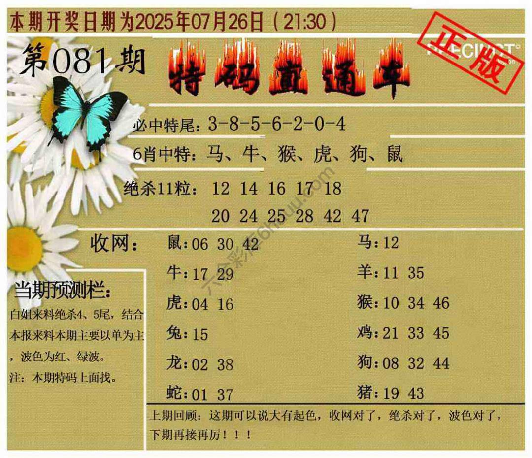 特码直通车
