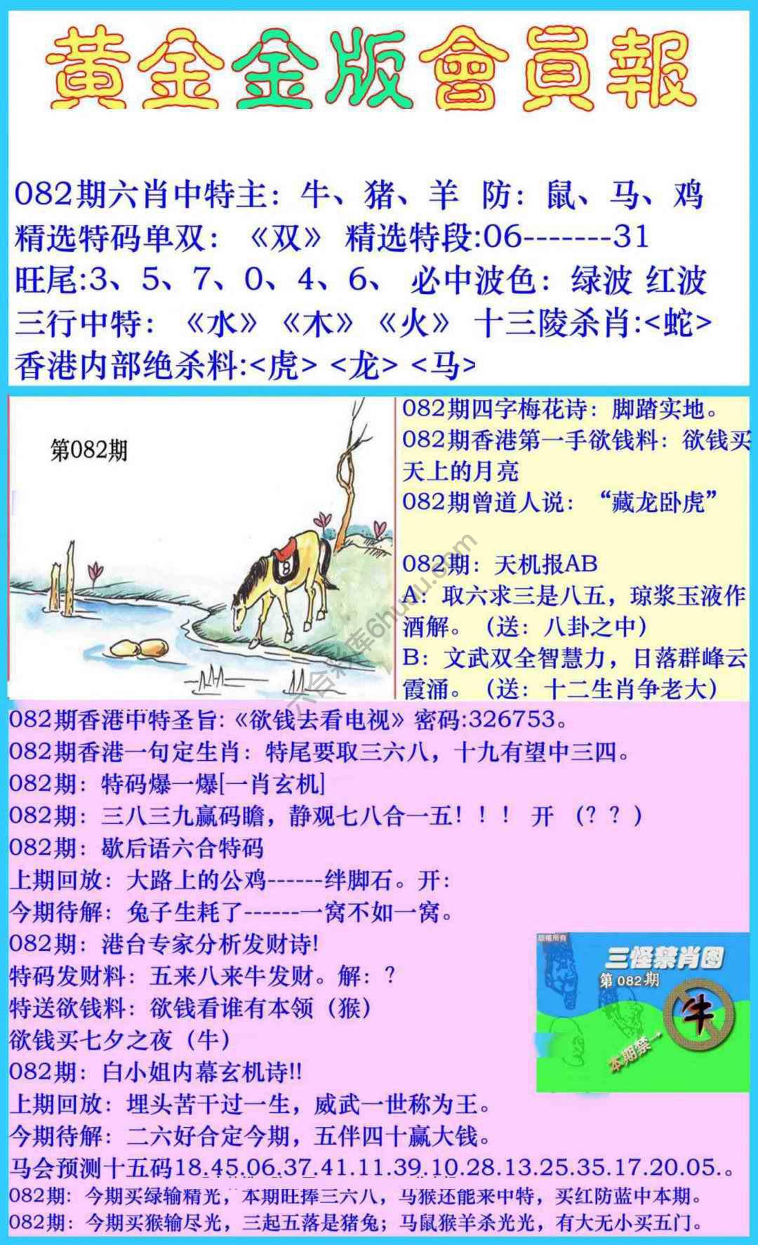 黄金金版会员报