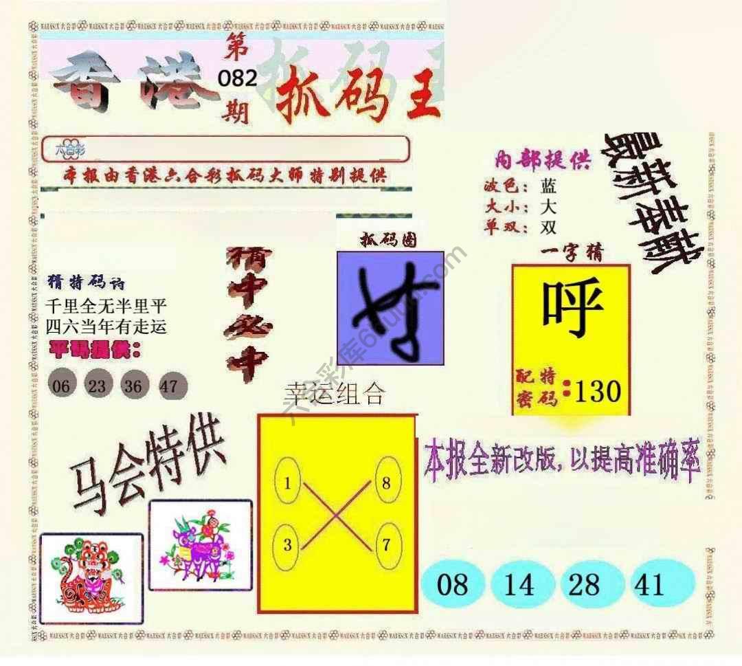 新抓码王