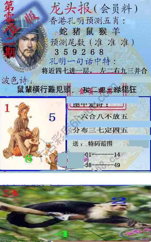 龙头报
