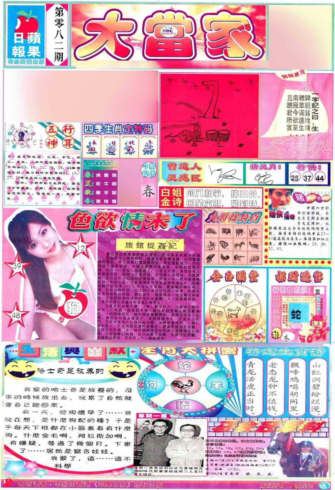 大当家