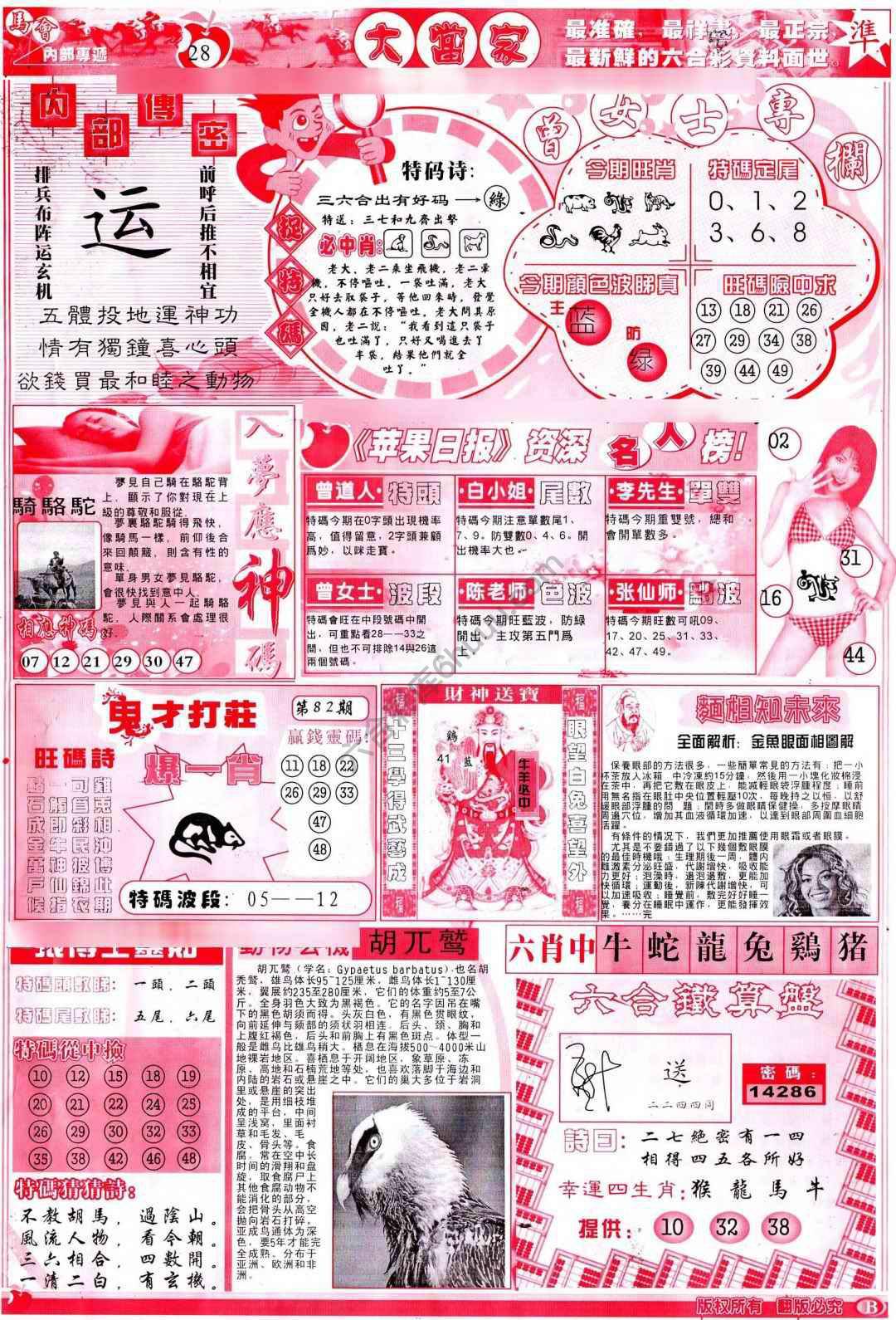 大当家