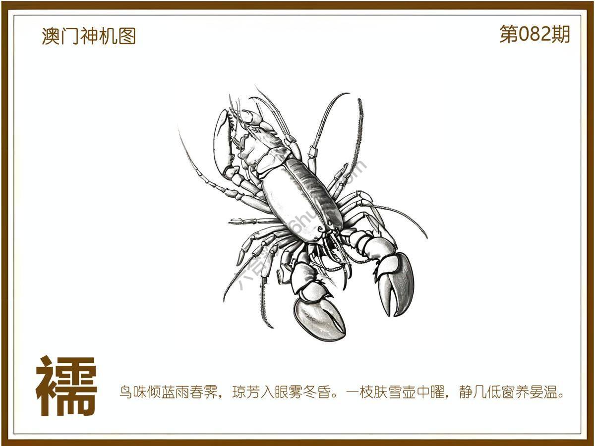澳门神机图
