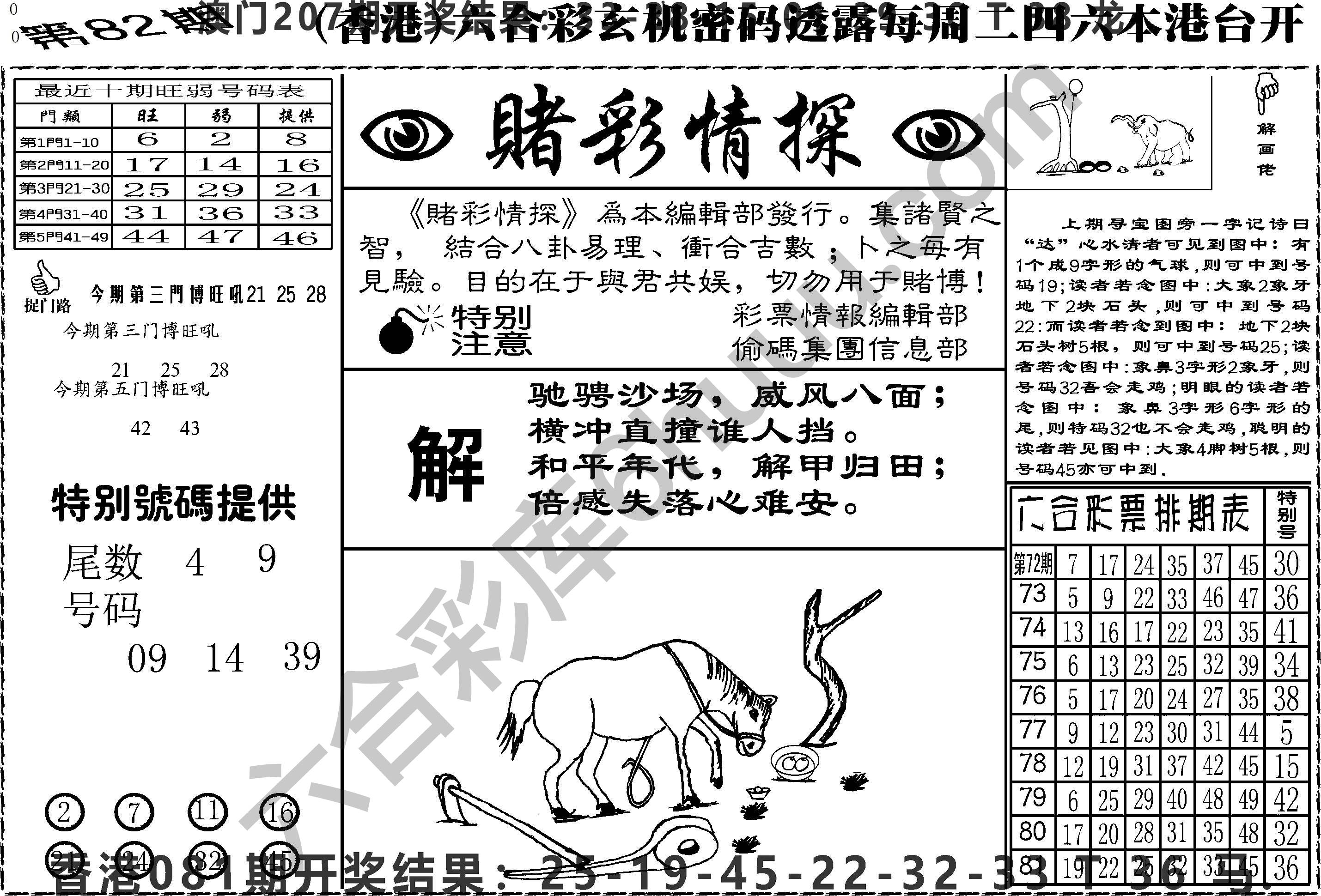 赌彩情探