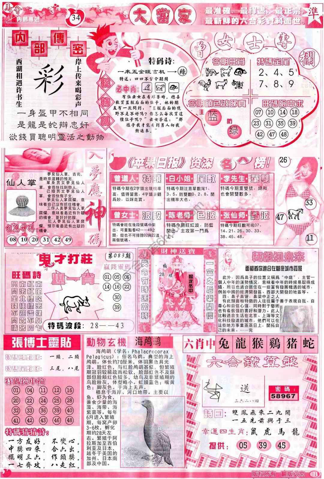 大当家