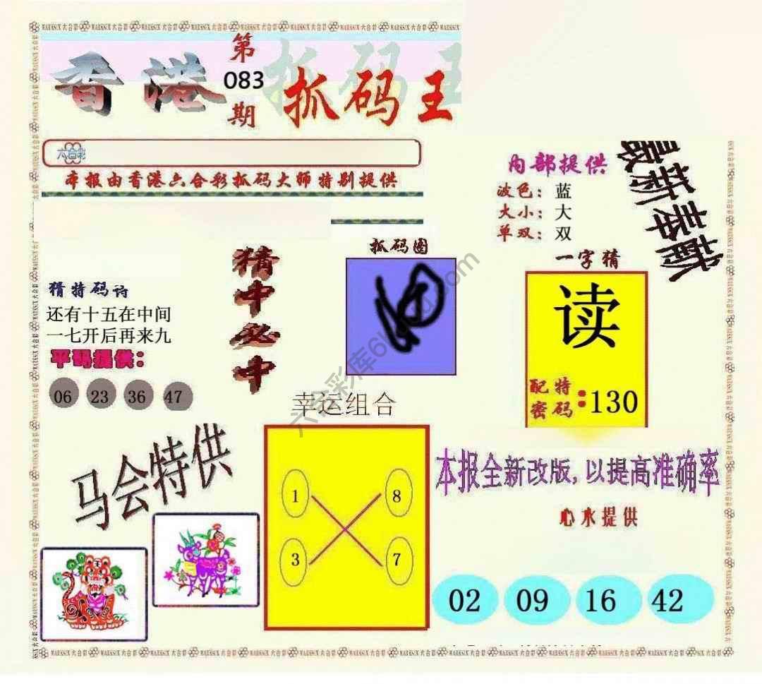 新抓码王