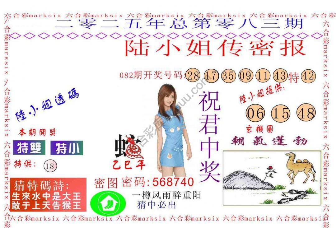 陆小姐传密