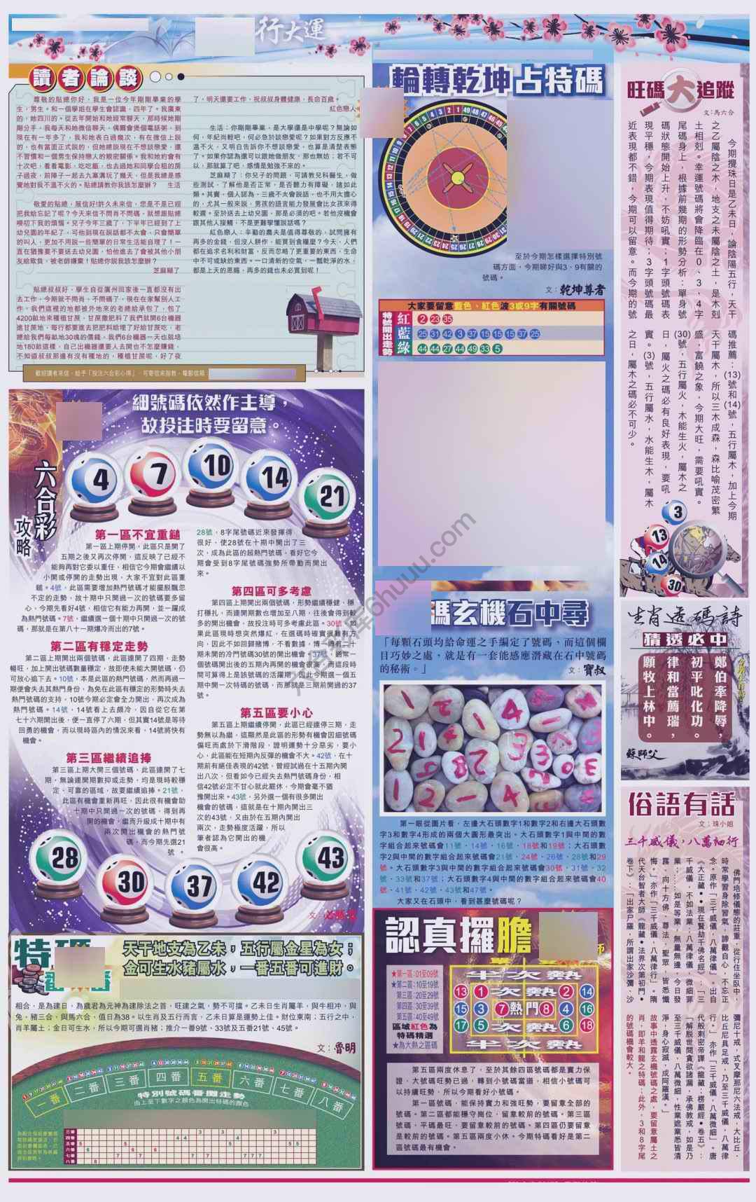 大版贴士皇