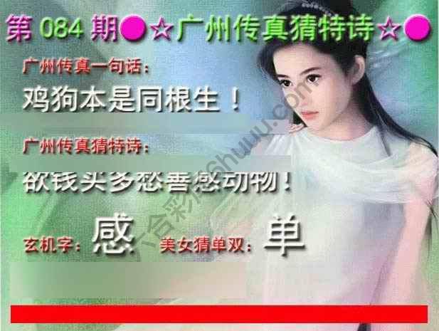 广州传真中特诗