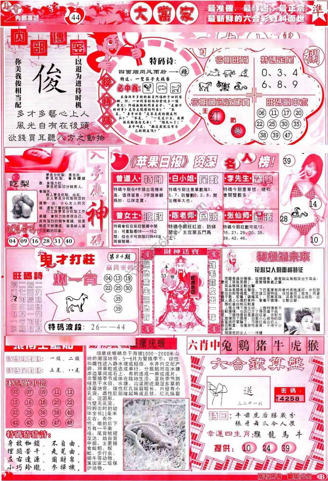 大当家