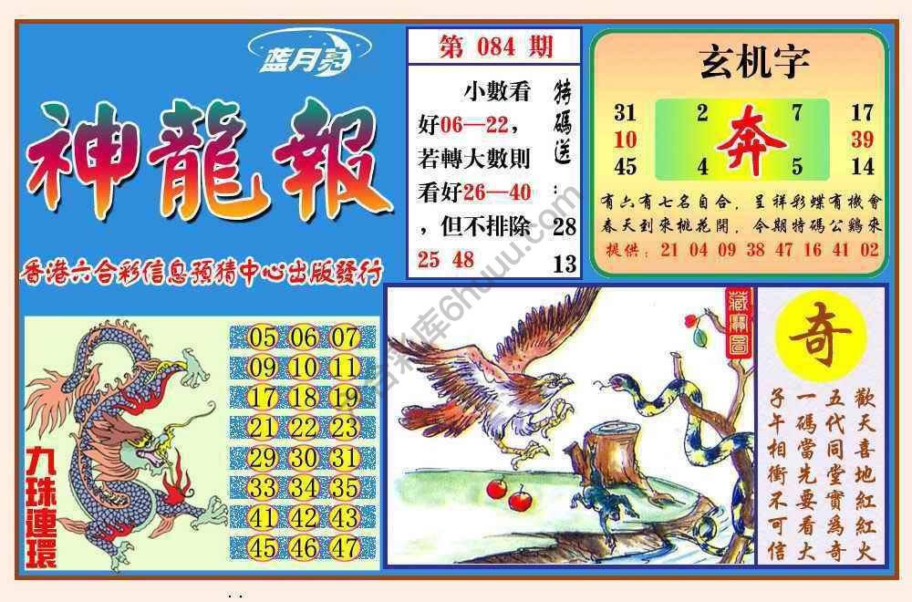 蓝月亮神龙报