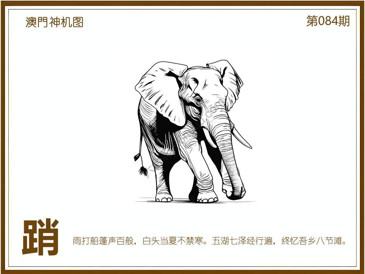 澳门神机图