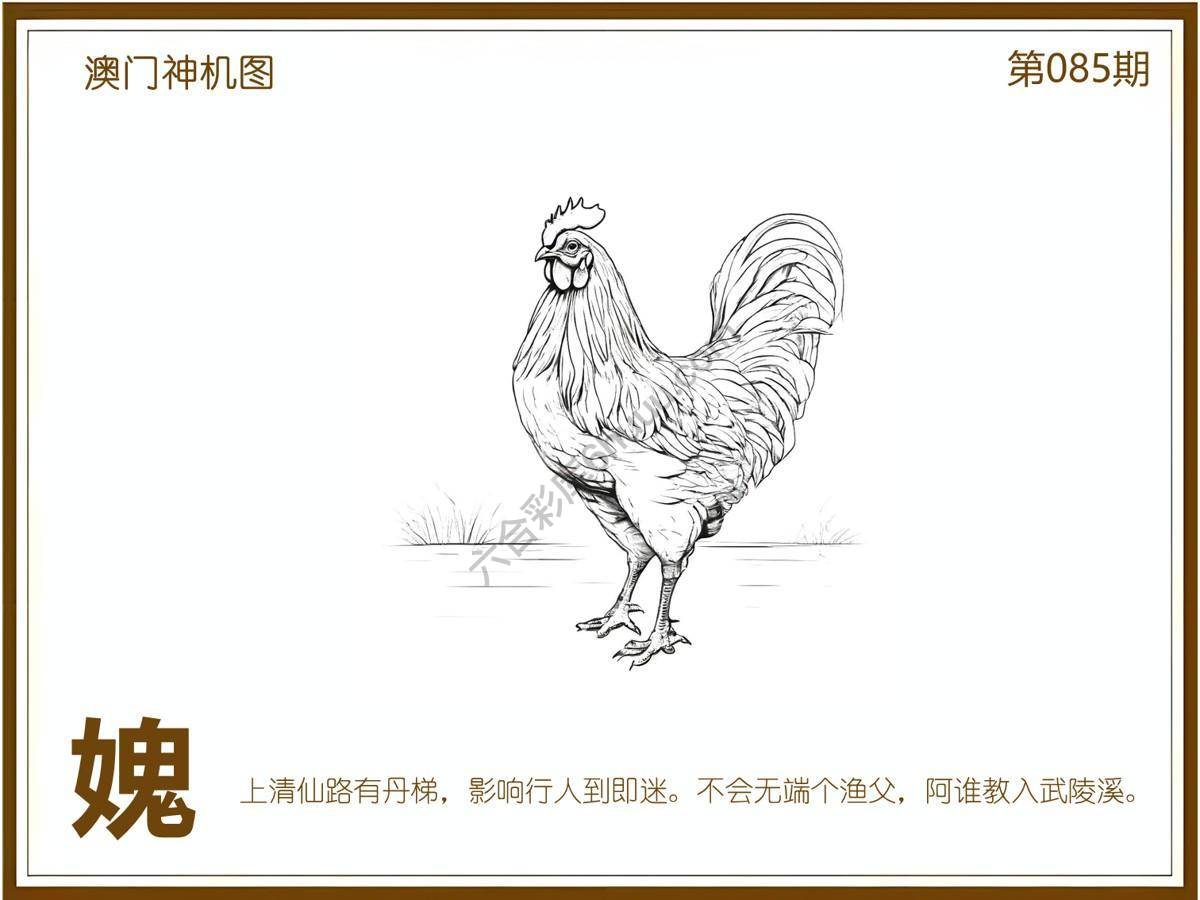 澳门神机图