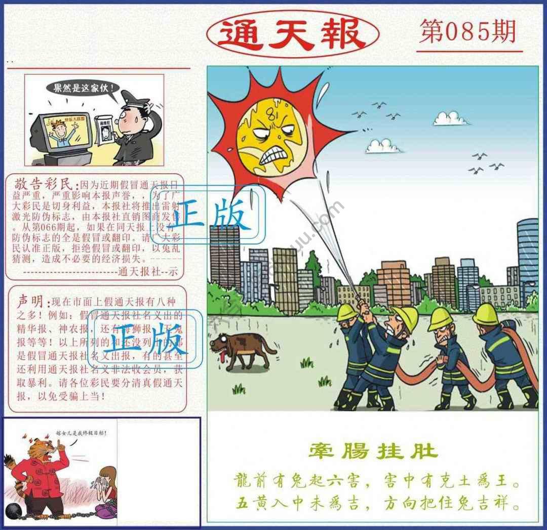 正版通天报