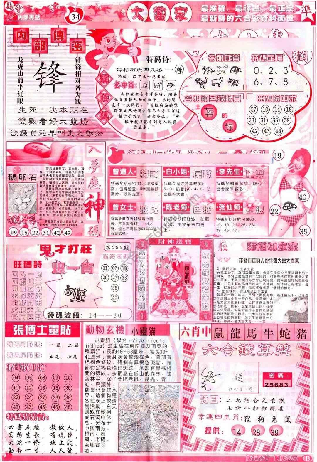 大当家