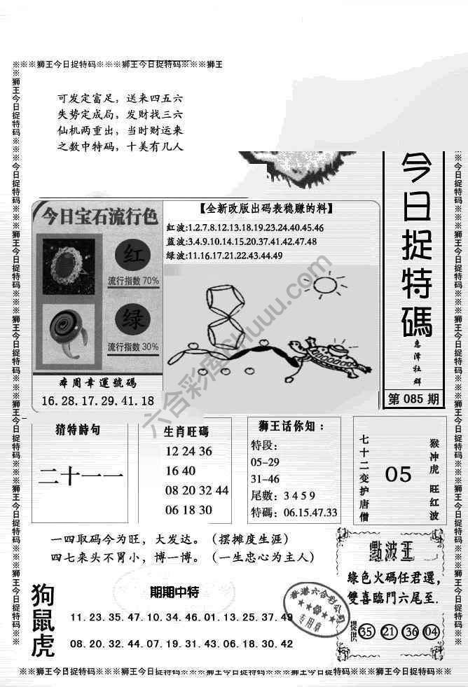 狮王今日抓特码