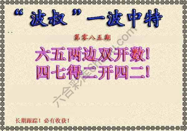 波叔一波中特