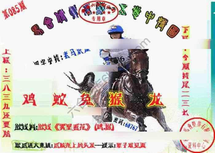 马会传真五肖料