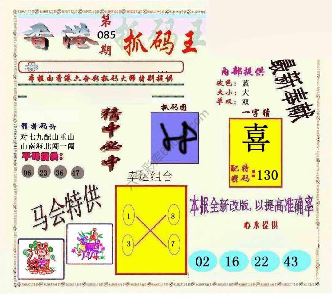 新抓码王
